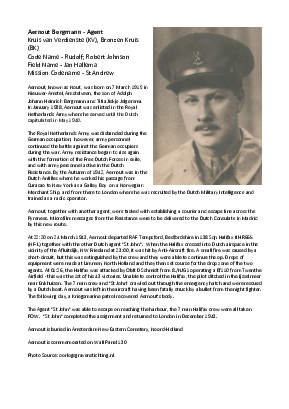 A preview of a PDF biography for Bergmann, Aernout